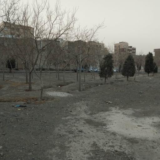 عکس فضای سبز