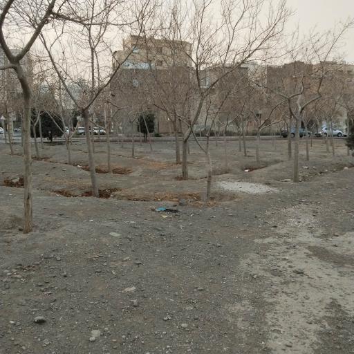 عکس فضای سبز