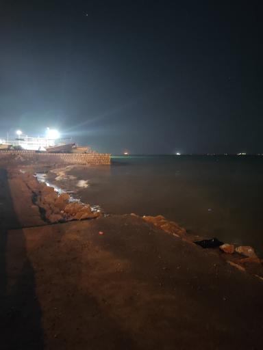 عکس تفریحات آبی و غواصی دلفین مرجان 