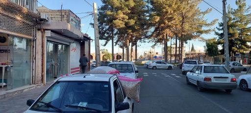 عکس پسته فروشی محمدعلی نخعی