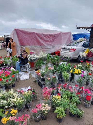 چهارشنبه بازار نور