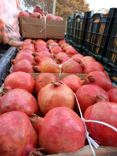 عکس سوپر مارکت جزیره