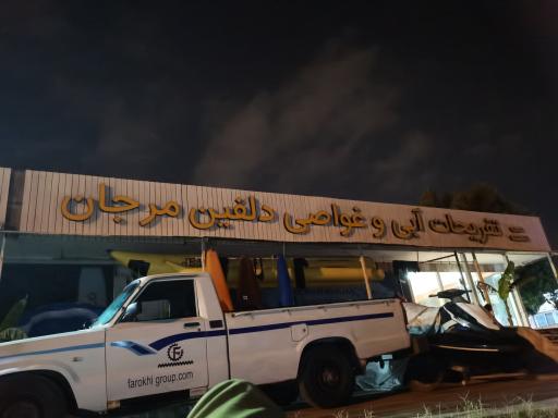 عکس تفریحات آبی و غواصی دلفین مرجان 