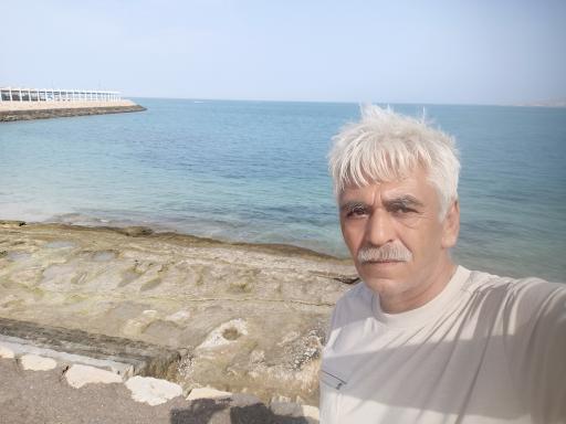 عکس تفریحات آبی و غواصی دلفین مرجان 