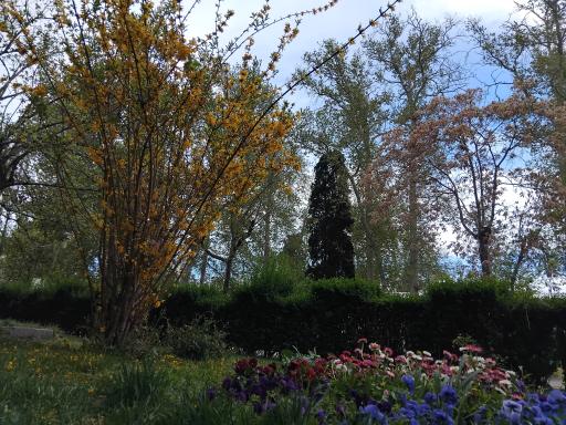 عکس دانشگاه الزهرا