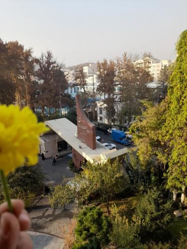 عکس دانشگاه الزهرا