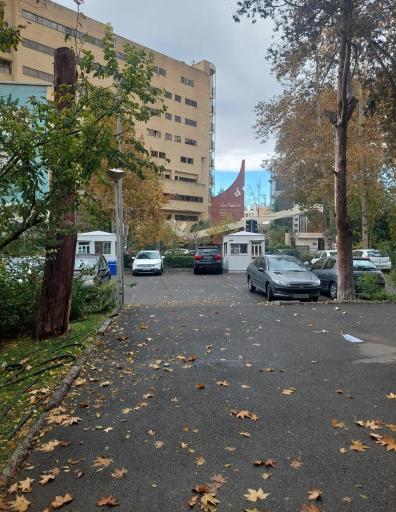 عکس دانشگاه الزهرا