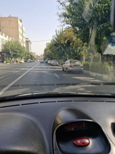 عکس پارک زیتون