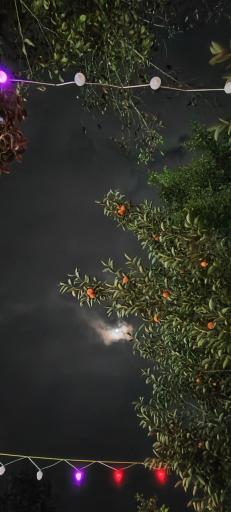 عکس اقامتگاه کلبه آبی شاقاجی 