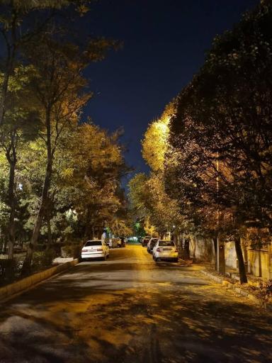 عکس پارک زیتون