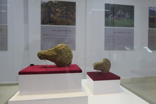 عکس موزه باستان شناسی ایذه 
