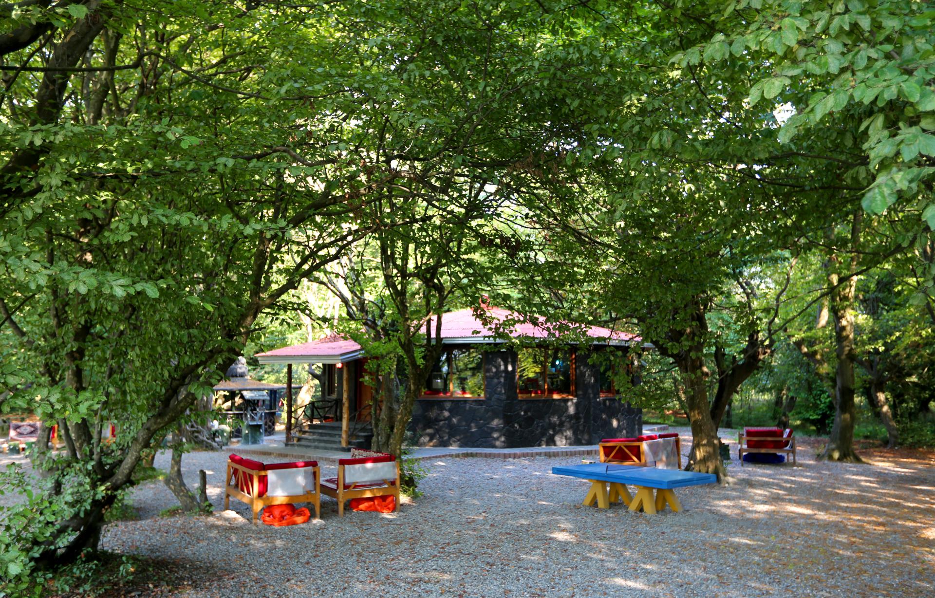 عکس چایخانه جنگلی برج