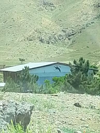 عکس باشگاه سوارکاری کیانی