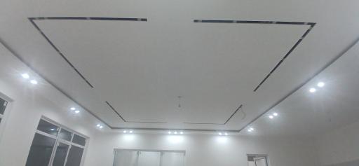 عکس الکتریکی علیزاده