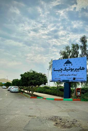 عکس بوتیک بزرگ چیا