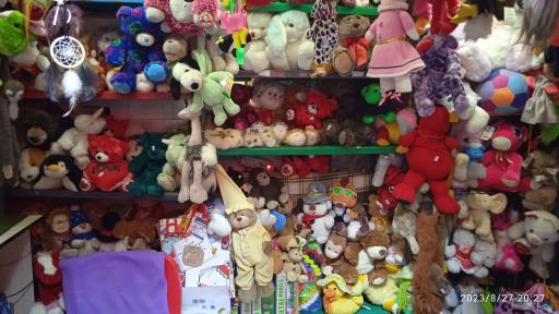 عکس عروسک فروشی رضا