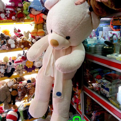 عکس عروسک فروشی رضا