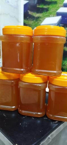 عکس عسل شهد گل ناظمی