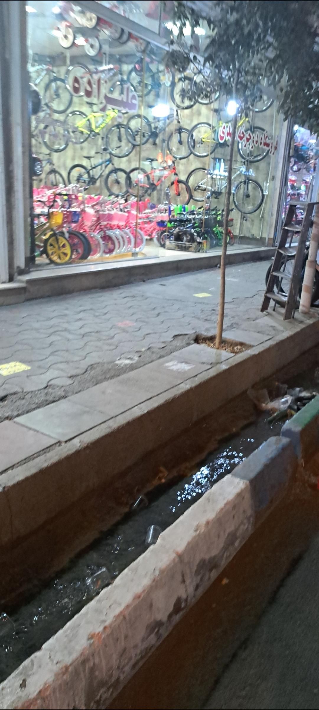 عکس فروشگاه دوچرخه علیرضا