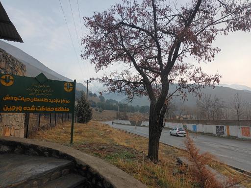 عکس محیط زیست گلندوئک