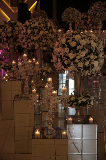 عکس باغ عمارت رویا