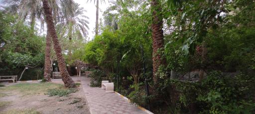 عکس باغ رستوران البرز