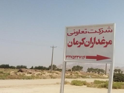 شرکت تعاونی مرغداران کرمان
