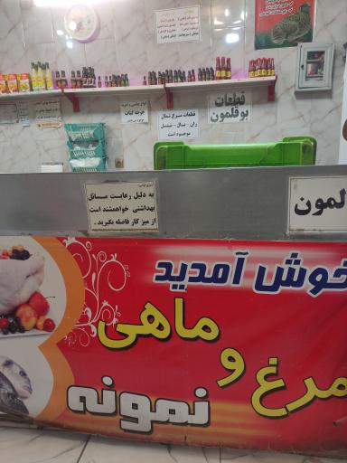 عکس مرغ و ماهی نمونه