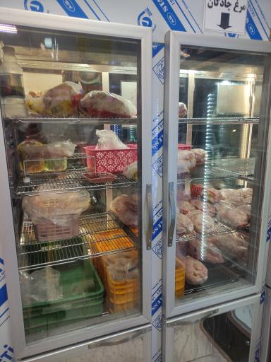 عکس مرغ و ماهی نمونه