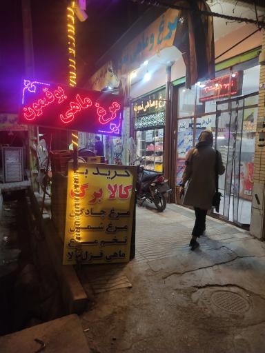 عکس مرغ و ماهی نمونه