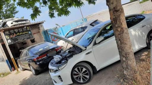 عکس سپرسازی فرزین