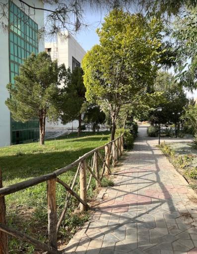 عکس دانشگاه مفید