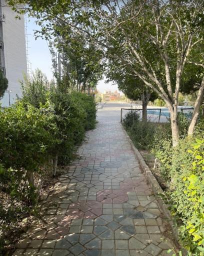 عکس دانشگاه مفید