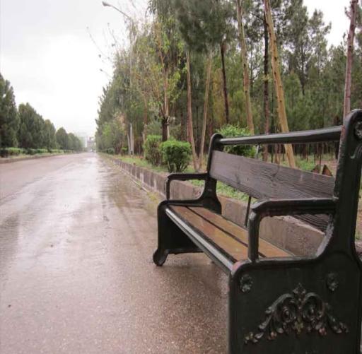 عکس دانشگاه مفید