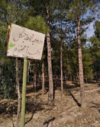 عکس دانشگاه مفید