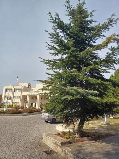 کتابخانه مرکزی تبریز