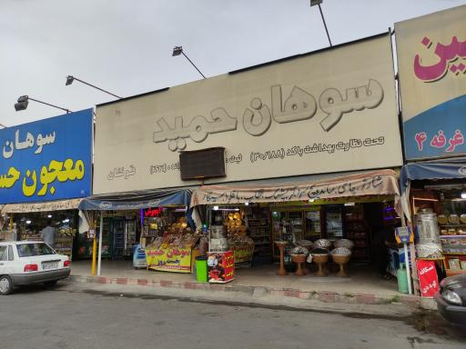 عکس سوهان حمید