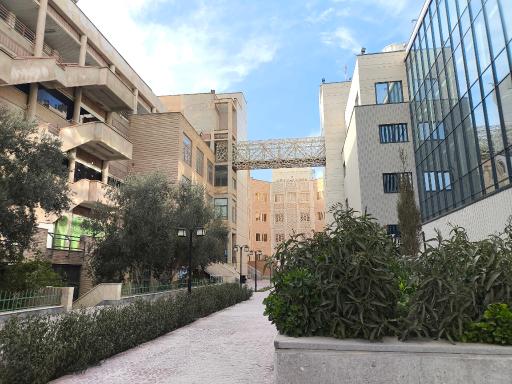 عکس دانشگاه مفید