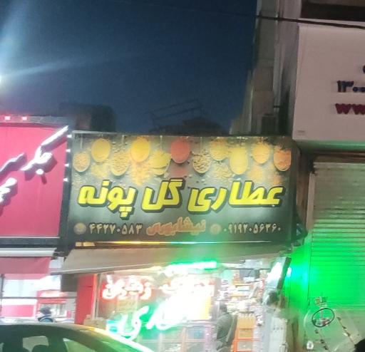عکس عطاری گل پونه