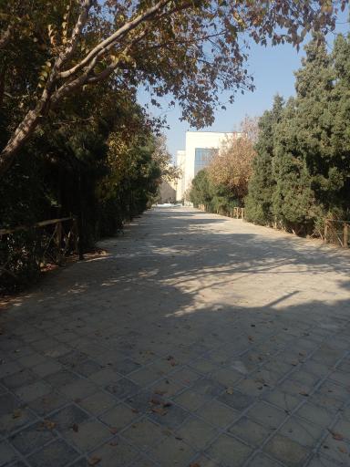 عکس دانشگاه مفید