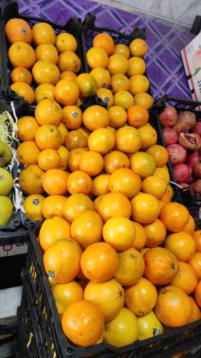 عکس هایپر میوه باقری