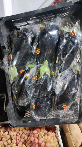 عکس هایپر میوه باقری