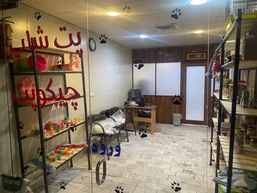 عکس پت شاپ و آرایشگاه حیوانات خانگی چیکو