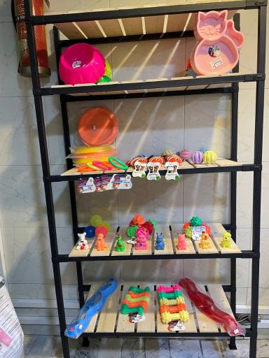 عکس پت شاپ و آرایشگاه حیوانات خانگی چیکو