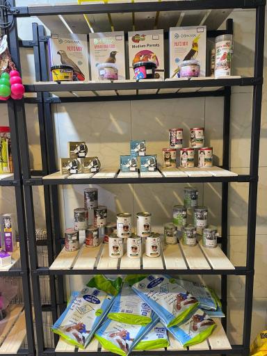 عکس پت شاپ و آرایشگاه حیوانات خانگی چیکو