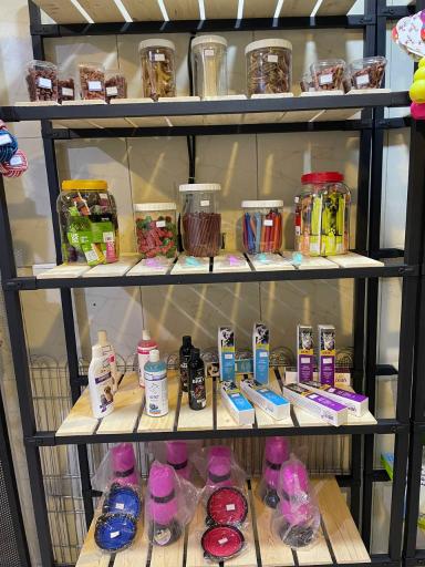 عکس پت شاپ و آرایشگاه حیوانات خانگی چیکو