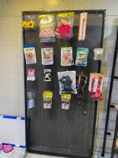 عکس پت شاپ و آرایشگاه حیوانات خانگی چیکو