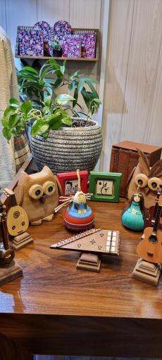 تن پوش وسنا