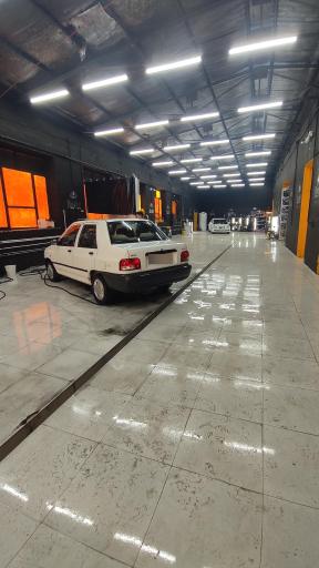 عکس دیتیلینگ باغی