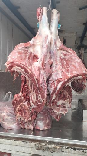 عکس سوپر پروتئینی نمونه تهران